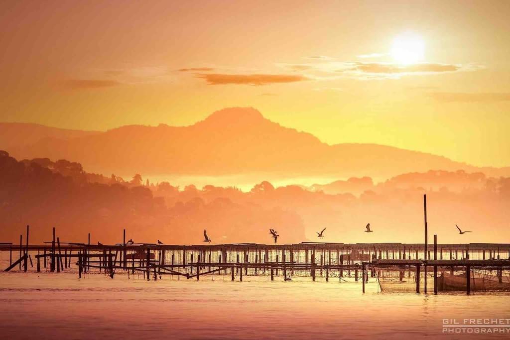 La Digue, 2 Chambres, Vue Mer Et Piscine La Seyne-sur-Mer Zewnętrze zdjęcie