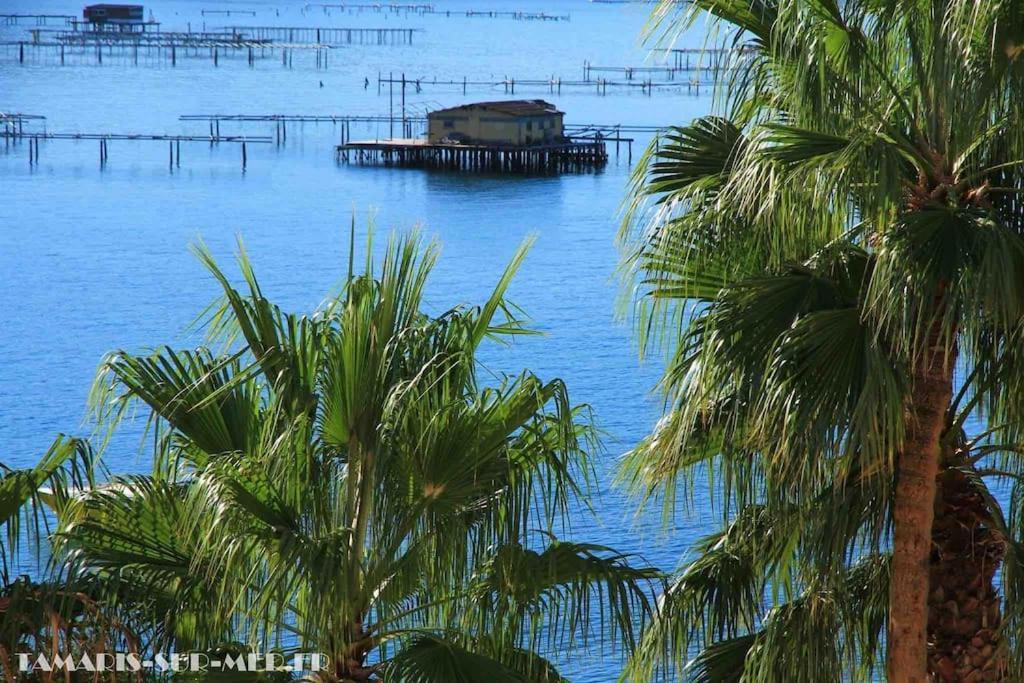 La Digue, 2 Chambres, Vue Mer Et Piscine La Seyne-sur-Mer Zewnętrze zdjęcie