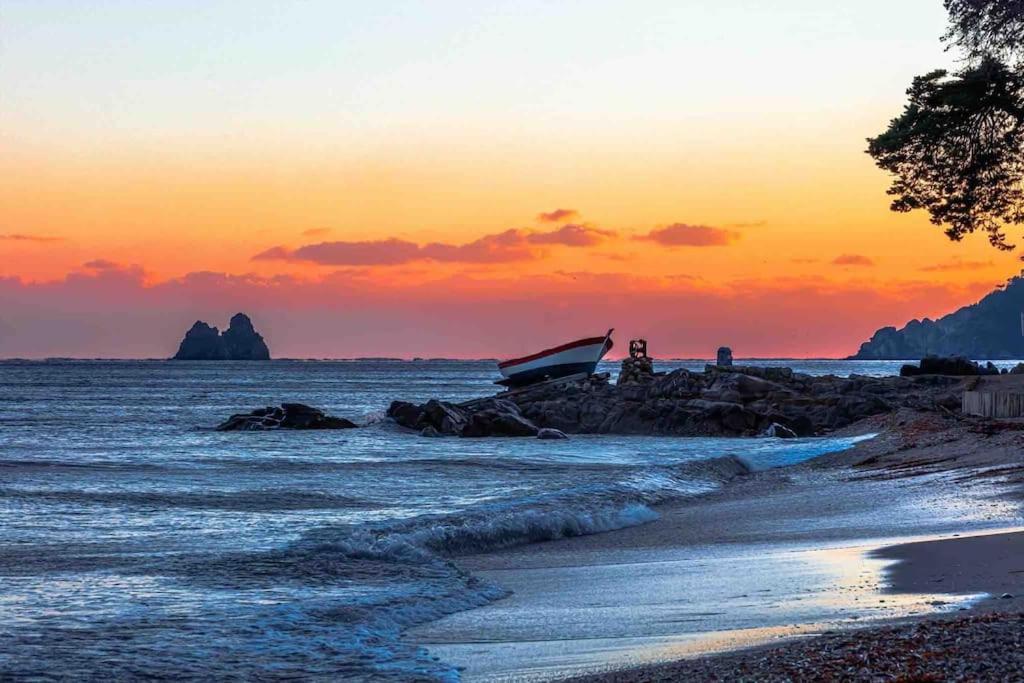 La Digue, 2 Chambres, Vue Mer Et Piscine La Seyne-sur-Mer Zewnętrze zdjęcie
